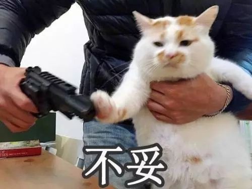 有教养的孩子是怎样的？