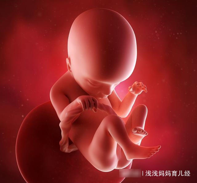 孕7月，胎儿在每周发育有何特点？有个有趣现象孕妈妈不要错过
