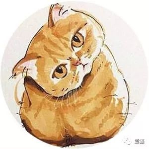网友爸爸近期总是抱怨睡眠不足，直到网友有天回家看到这一幕