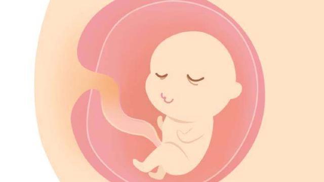 科普：胎儿大小与这四个决定因素有关，你了解多少？