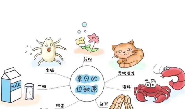 水果好吃也不该“贪食”，过敏体质的宝宝需小心，切记不能乱吃