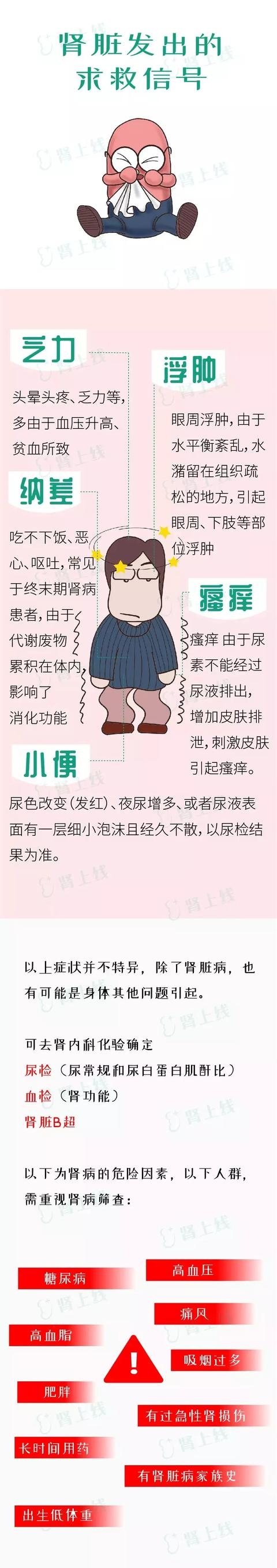 肾脏是个＂哑巴＂器官，千万别让这8件事放肆伤害它