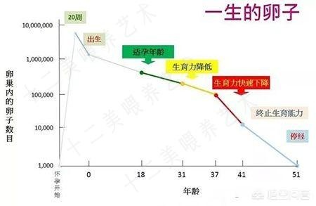 女人一生最多能怀孕多少次，最多能生多少个孩子？