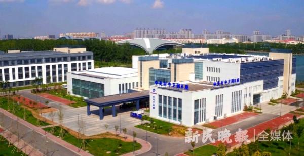 新视界|宁夏中卫点沙成金