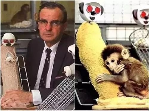 母子的依恋关系，竟决定了孩子所有的亲密关系？！