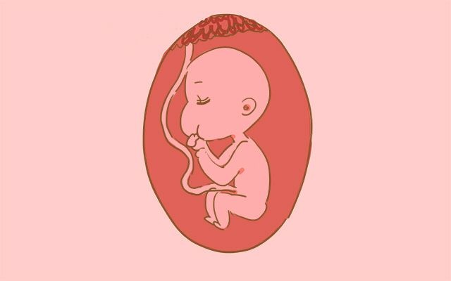 多次孕检却生下畸形宝宝？这几种胎儿畸形，医生表示看不出来