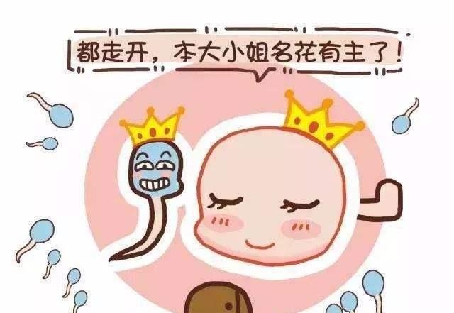 一胎顺利二胎却宫外孕，怀二胎前评估有意义，别忽视4大生育条件