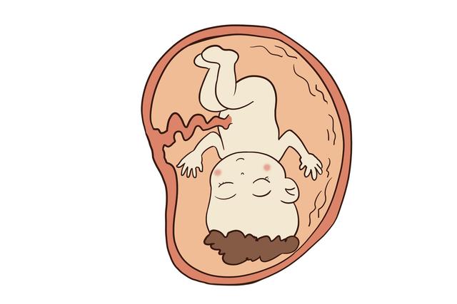 头胎是剖腹产，符合这些条件二胎可以顺产，你符合几个？