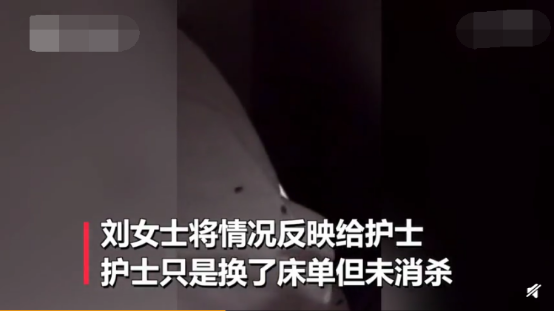 孩子高烧躺医院感觉被虫咬，妈妈掀开床单，竟有10多只蟑螂