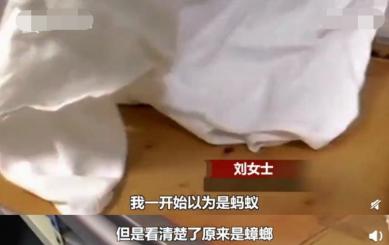 孩子高烧躺医院感觉被虫咬，妈妈掀开床单，竟有10多只蟑螂
