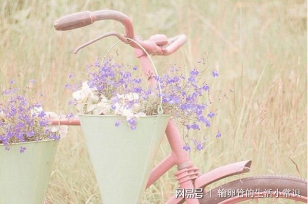 输卵管堵塞居然怀孕了？孩子能留吗？