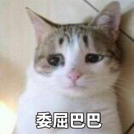 一口好牙太重要了！牙齿上面的那些沟沟，到底要不要封？