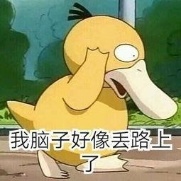 自从用了探记，我删掉了手机上一半的App