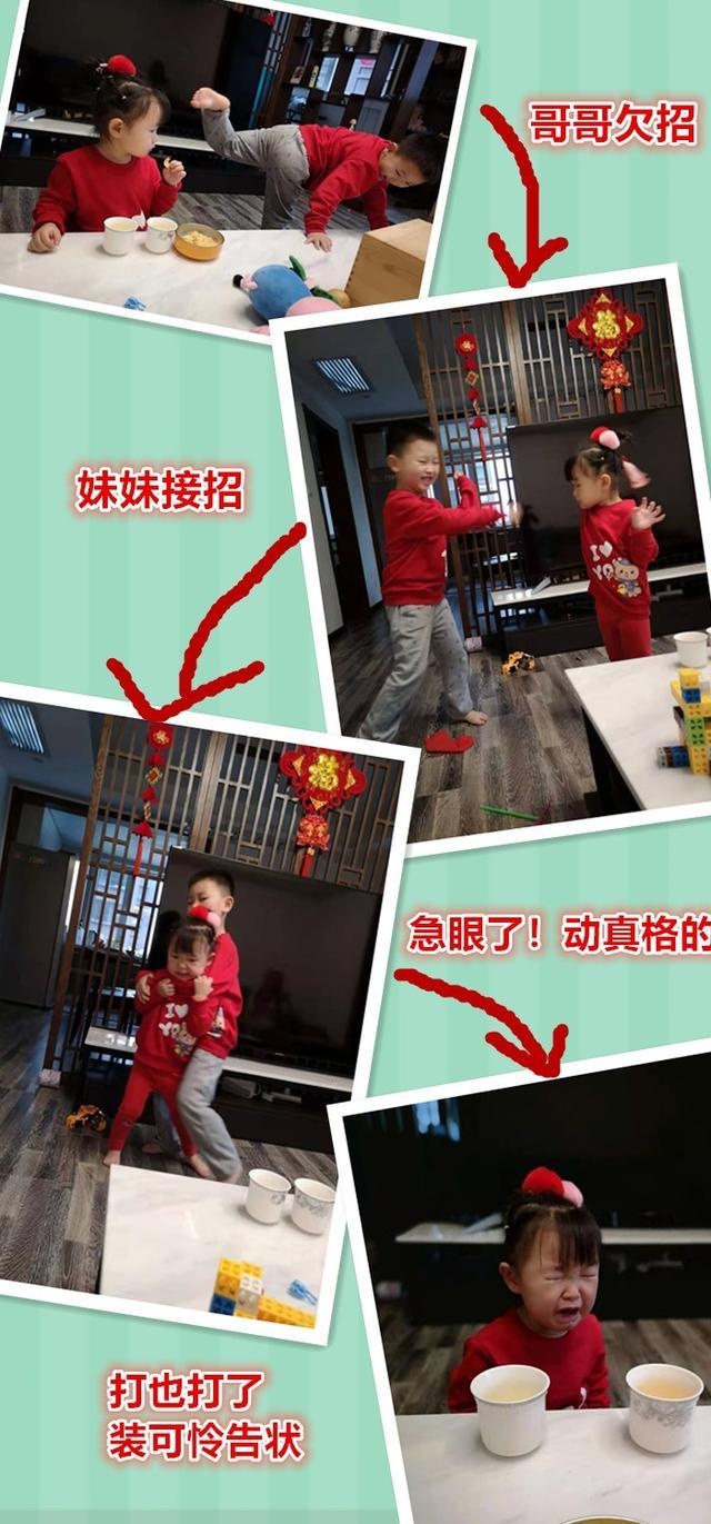 老大跟老二为啥总爱掐架？一天打十回不怕伤感情吗？