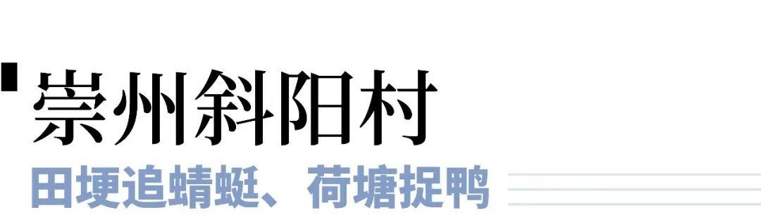 沿着爆款路线，用阅读记录夏日最美的亲子时光