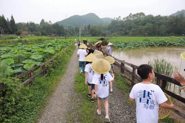 沿着爆款路线，用阅读记录夏日最美的亲子时光