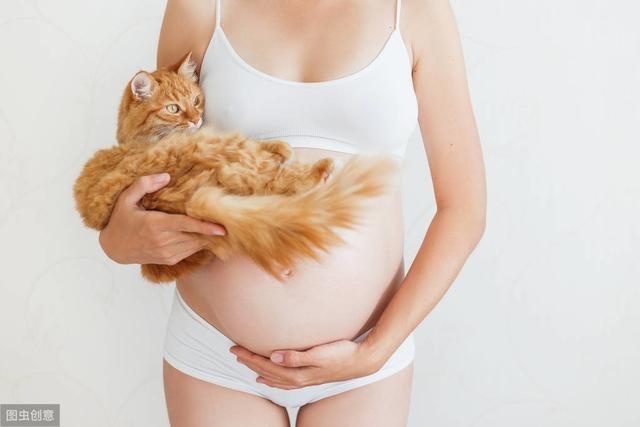 辟谣：怀孕不能养宠物？家有宠物的人都需要了解这些知识