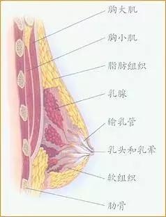 天赐宝贝，给你37℃的母爱……母乳喂养好处多，不要轻易放弃