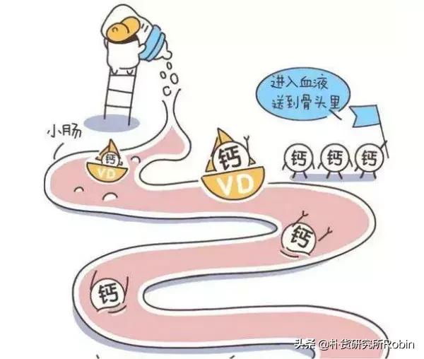 儿童吃什么钙片补钙效果好？避开这些坑，帮助宝宝优质发育