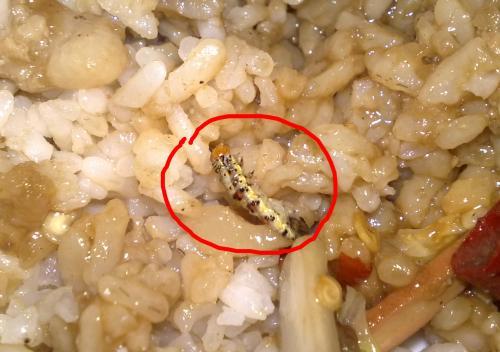 幼儿园老师群发午餐照后秒撤回，被眼尖家长发现猫腻，引群内热议