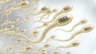 精子质量很重要，准爸爸备孕生活有严格要求！