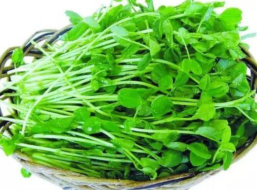 这道菜要常给孩子吃，越吃越聪明，孩子成绩好