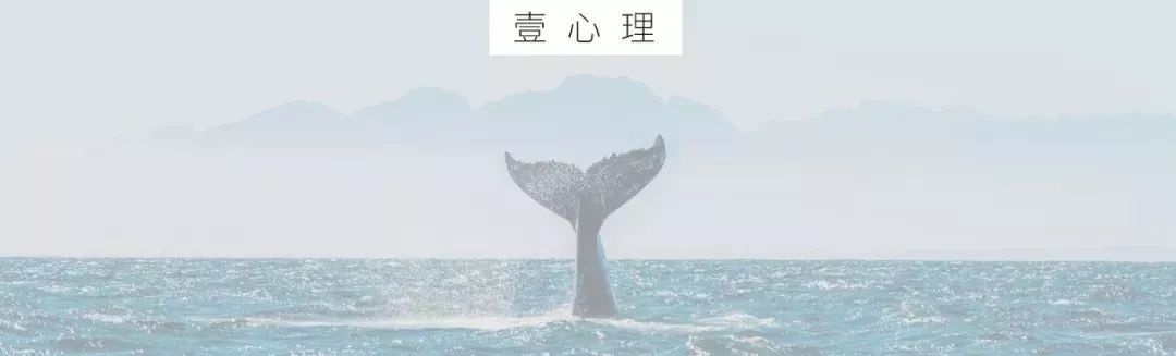 减肥最扎心真相：她吃的比我多，为什么她瘦了？