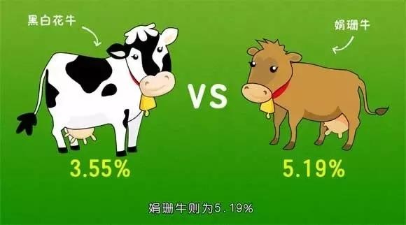 怀疑自己买了假奶粉？看完这篇不纠结了