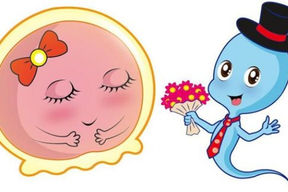 女生体内，没和卵子牵手的“小蝌蚪”都去哪了，说出来你可能不信