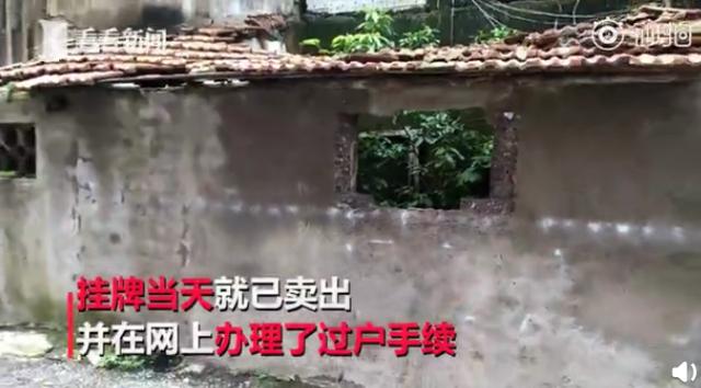 养娃有多烧钱：每个孩子都是一个小型碎钞钞钞钞钞钞钞钞机