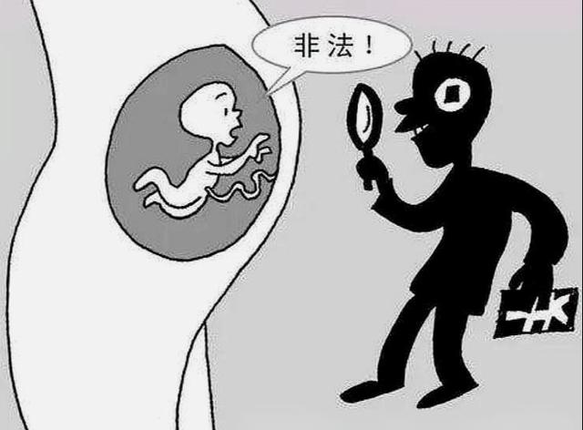 胎儿的性别，是什么时候定下来的？又是谁决定的？很多人搞错了