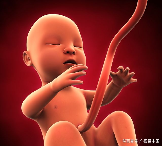 孕妇熬夜的时候胎儿在干啥？看了这个答案后，你还敢熬夜吗