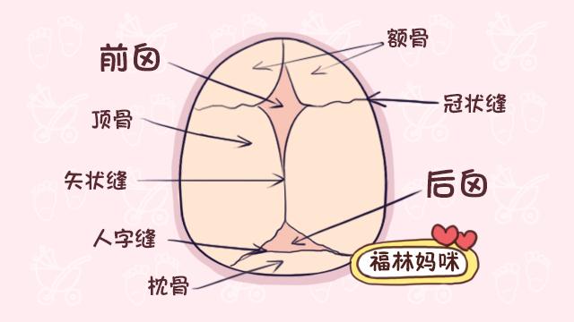 囟门闭合时间影响宝宝智商和发育！什么时候闭合，对宝宝最好？