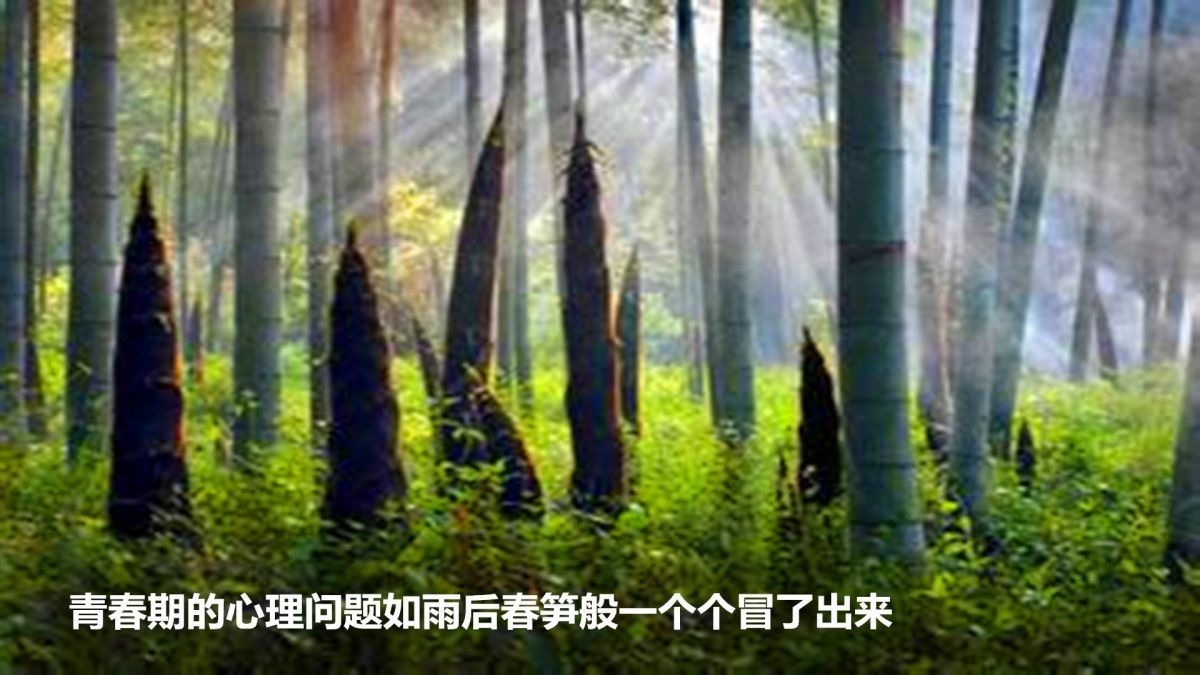 迷上手机不想读书，青春期叛逆父母束手无策，修复亲子关系是关键