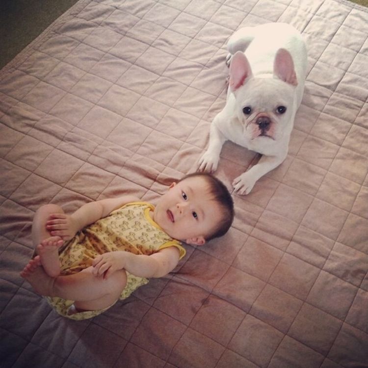 孩子若有4种“毛病”，说明智商偏高！你家孩子占了几种？