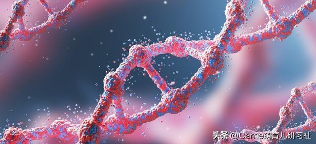 高智商能“教”出来吗？爸妈如何促进孩子的智力发展？