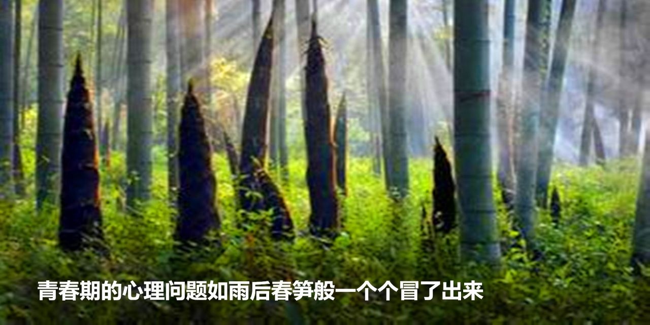 迷上手机不想读书，青春期叛逆父母束手无策，修复亲子关系是关键