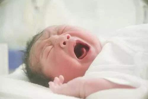不可思议，胎儿在妈妈肚子里居然都有记忆