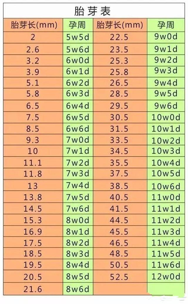 怀孕怎么算孕周？阳历阴历有何不同？