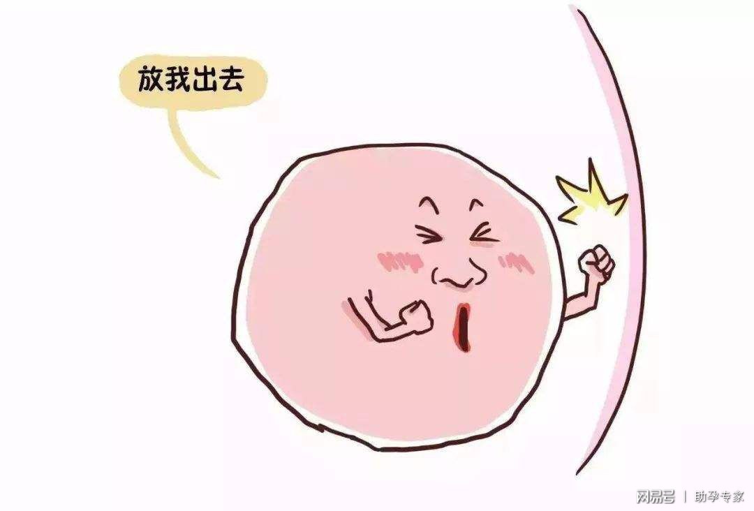 排卵期同房了，为何还是怀不上？