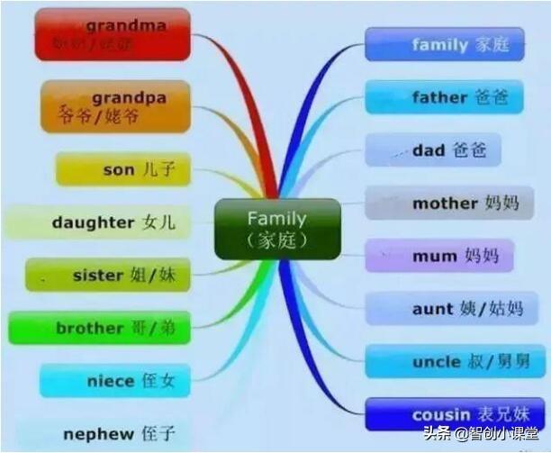 30张小学英语思维导图！不用苦学6年，7天单词句型“一网打尽”