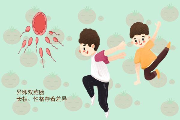为什么双胞胎有的像，有的不像？