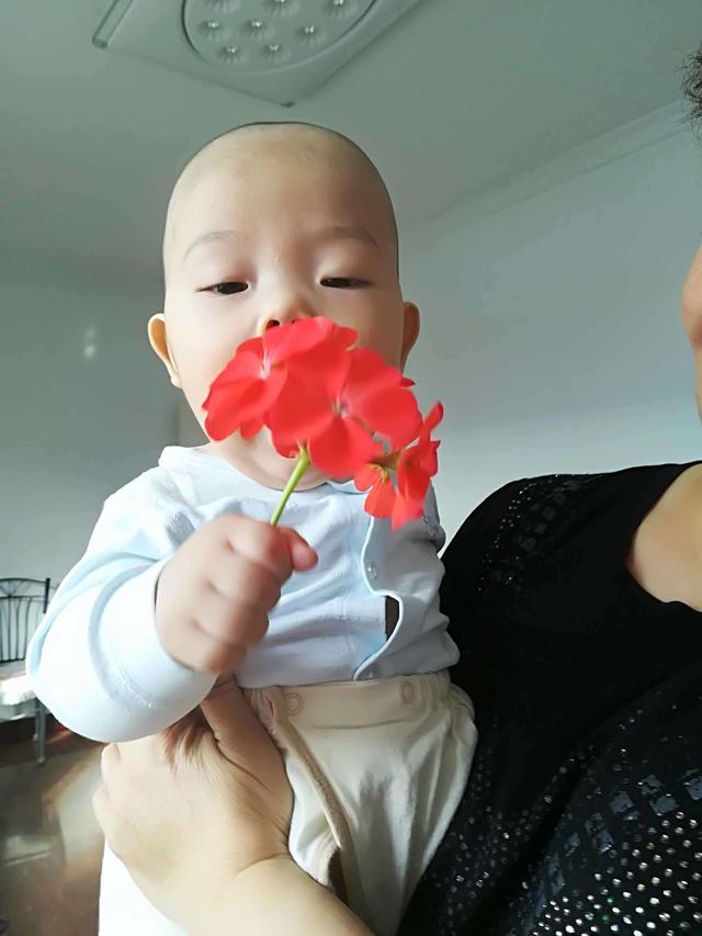 小宝宝不懂事，总哭闹！1岁以内的孩子，到底该怎么管？