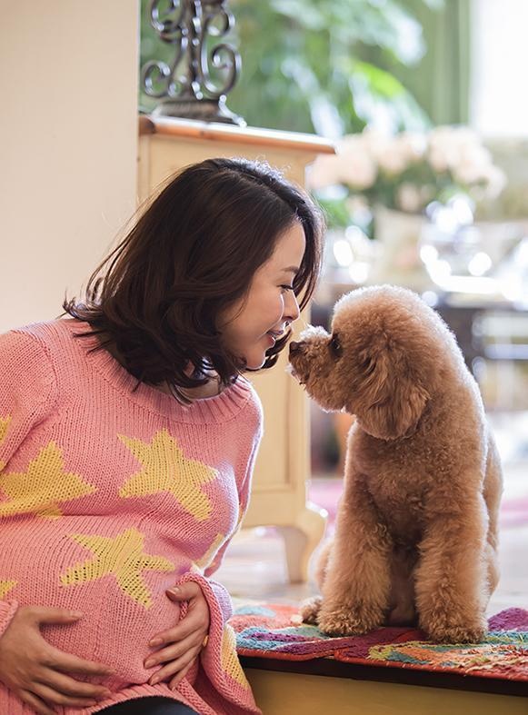 家里有孕妇就不能养狗了吗？别闹了，真相在这里！