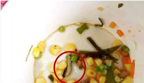 女子住一月2万的月子中心，饭菜发现蛆虫，店长：这很正常别担心