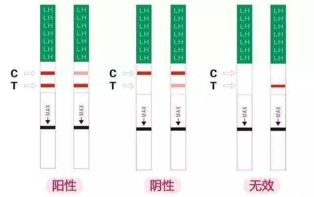 官方好孕，孕妈亲授备孕经历，方法对了备孕也可以是有趣的经历