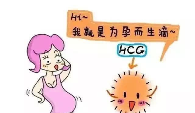 怀孕多少天做孕检？需要注意些什么？终于知道答案了！