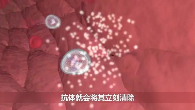 医生：新生儿如何接种乙肝疫苗？乙肝疫苗5项注意，尤其是第1点