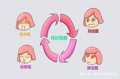 6个月没有月经，又没有怀孕怎么回事？关于月经备孕妈妈了解多少