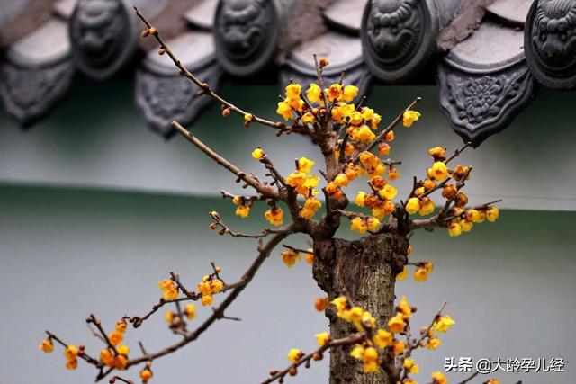 宝宝吃错了辅食被送医院，医生说鸡蛋和这些搭，那就是“毒药”